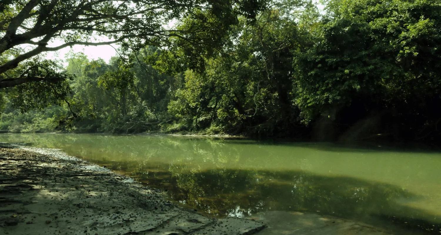 Explore Nepal Wildlife Tour (Bardiya National Park) for 6 days with Asian Heritage Treks & Expeditions and discover unforgettable experiences - Photo 2