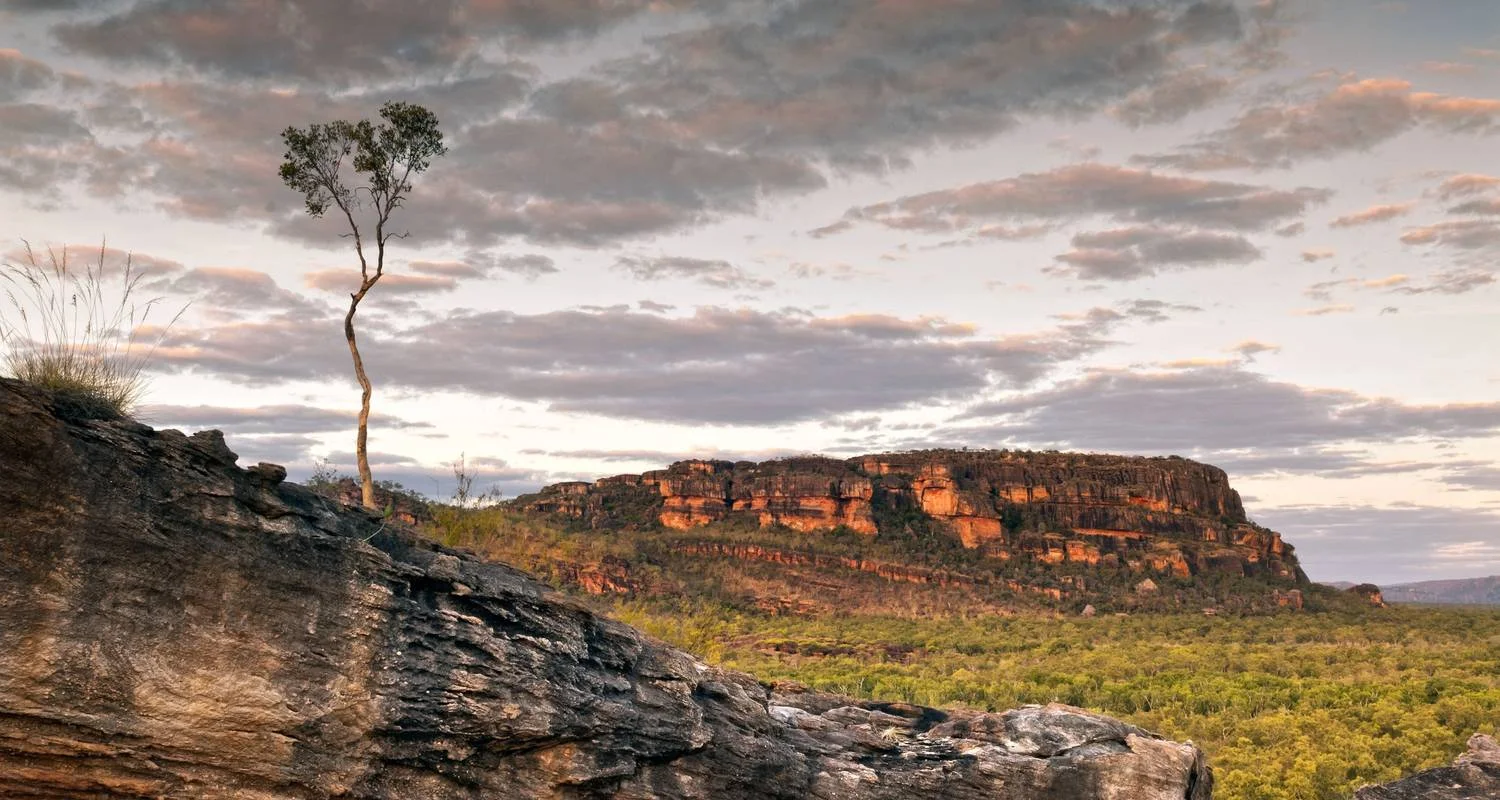 Explore Darwin Getaway with Kakadu & More for 8 days with Australia and New Zealand Travel Company and discover unforgettable experiences - Photo 2