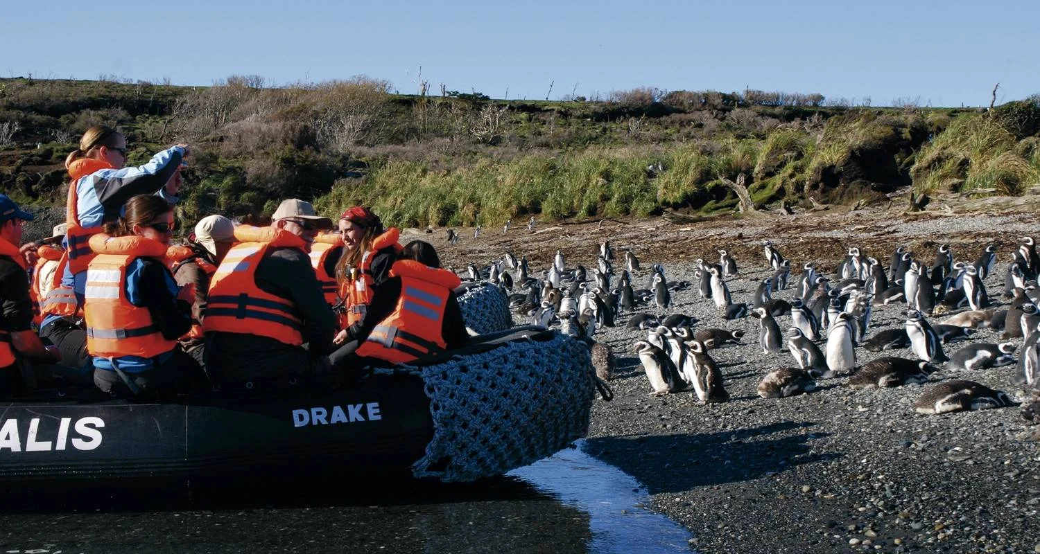 Explore Darwin's Route from Punta Arenas (8 Nights) for 9 days with Australis and discover unforgettable experiences - Photo 2