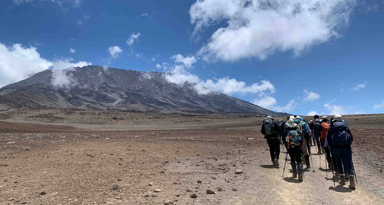 Explore Climb Mt.Kilimanjaro Via Lemosho Route 8 Days for 8 days with Authentic Africa and discover unforgettable experiences - Photo 2