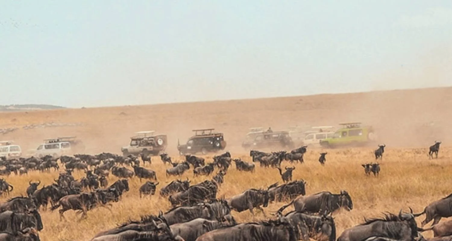 Explore Simba Classic Adventure Safari **Sustainable Approach to Travel for 7 days with Authentic Africa and discover unforgettable experiences - Photo 2