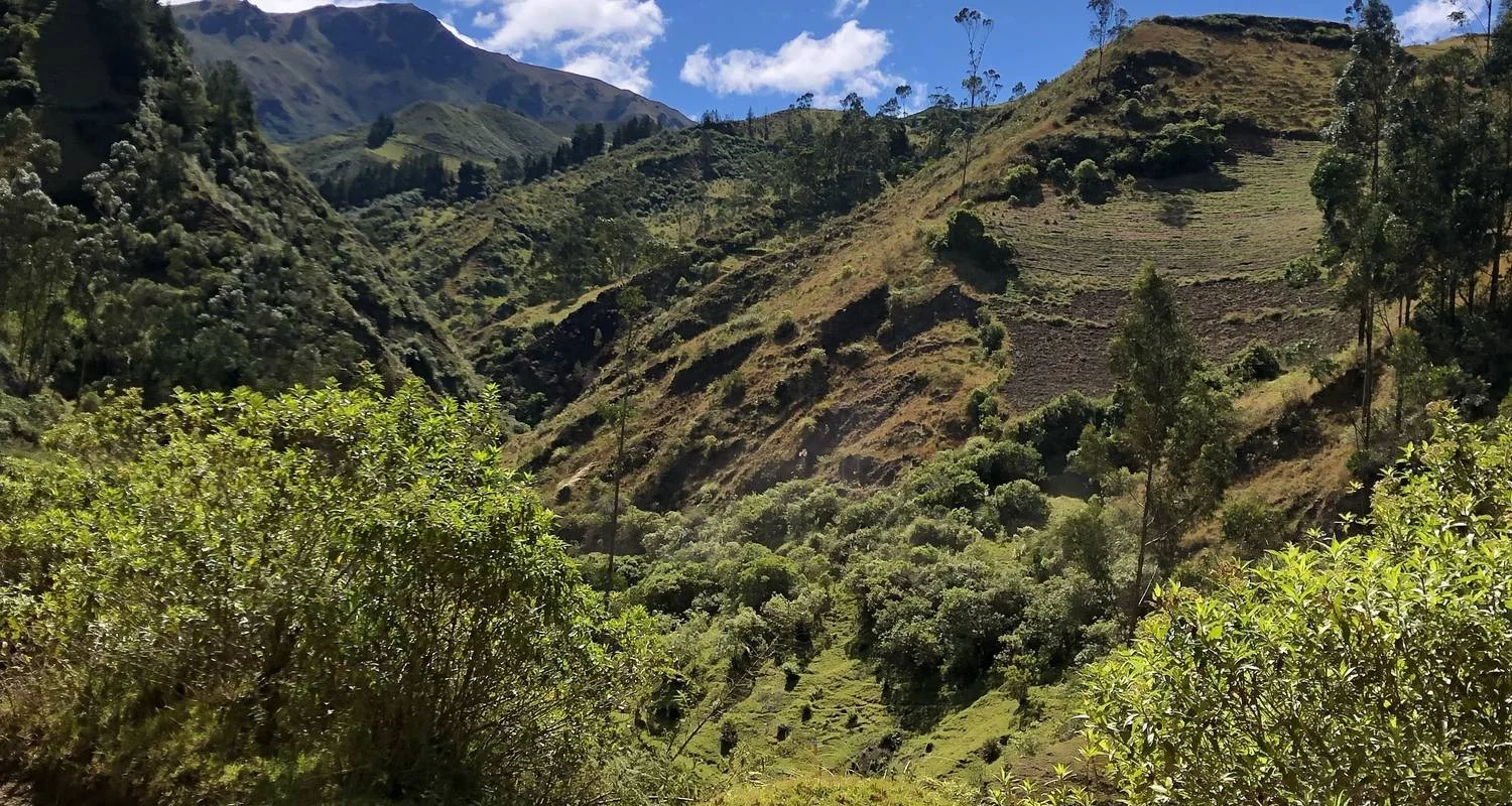 Explore Hiking & Trekking in the Heart of the Ecuadorian Andes - 7 Days for 7 days with Authentic Ecuador and discover unforgettable experiences - Photo 2
