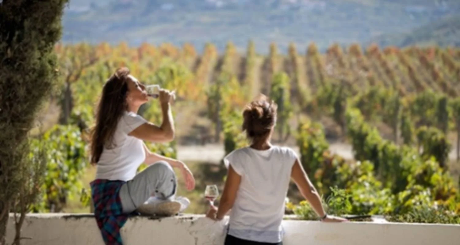 Explore Douro Wine Region self-guided hike tour for 9 days with Authentic Trails and discover unforgettable experiences - Photo 2