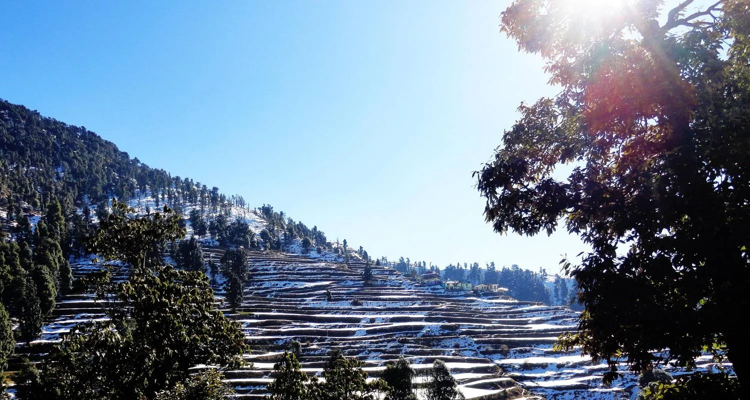 Explore Private 6 Day Shimla & Manali tour by car for 6 days with Avtar India Tours and discover unforgettable experiences - Photo 2