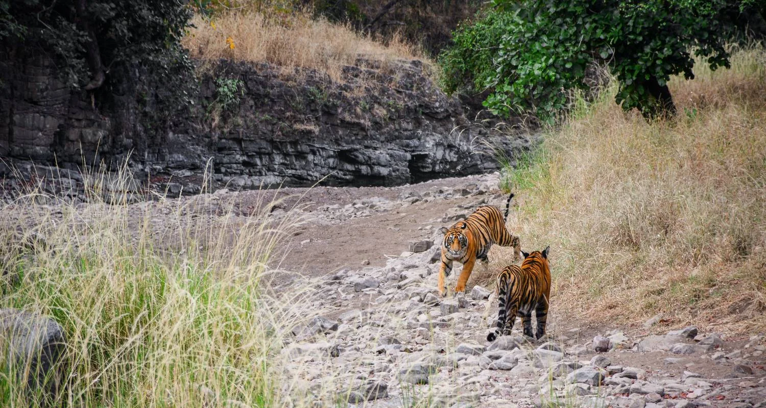 Explore Private 16 Day Golden Triangle with Royal Rajasthan tour by car for 16 days with Avtar India Tours and discover unforgettable experiences - Photo 2