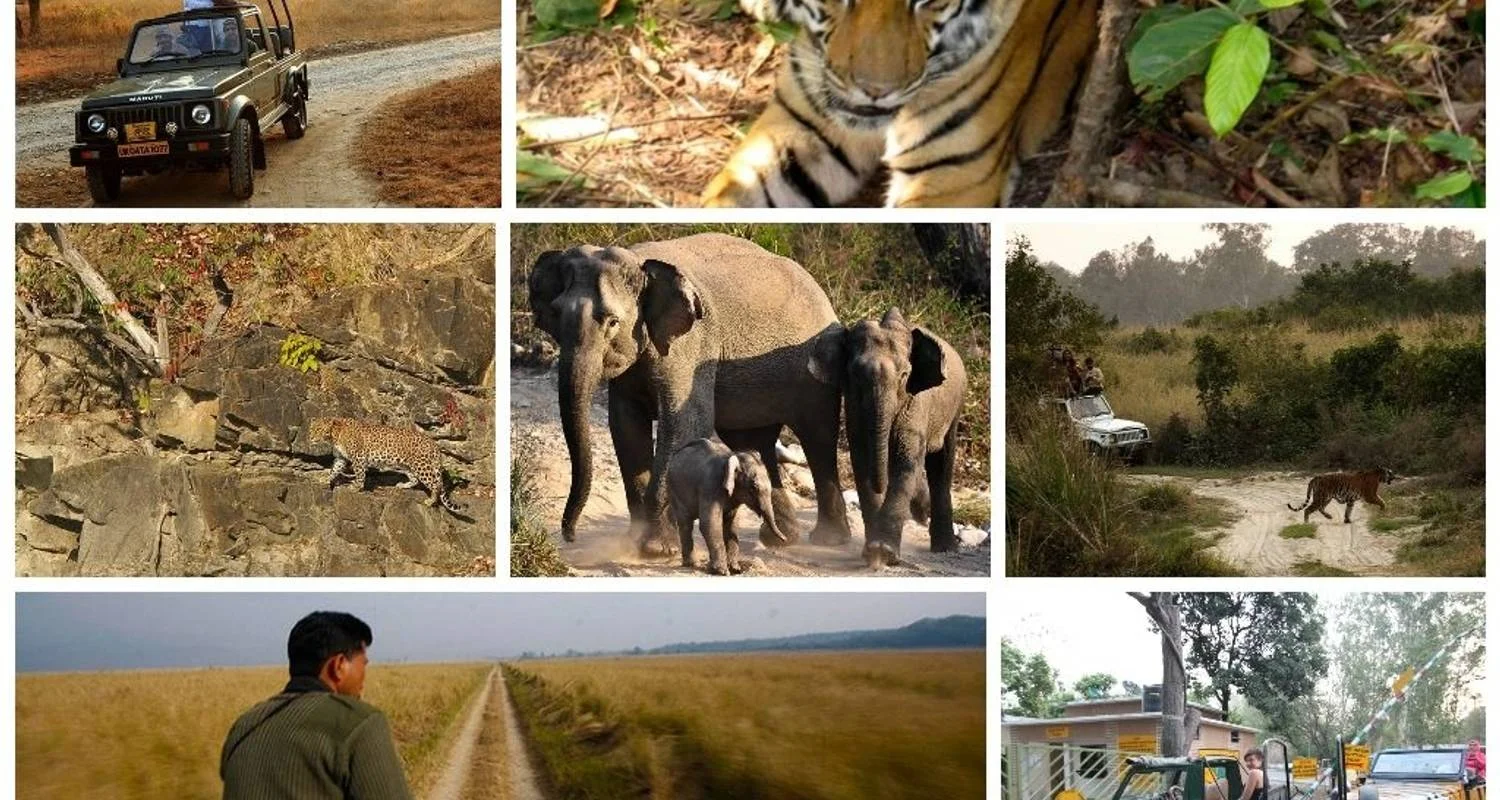 Explore 21 Days Rajasthan Forts,Palaces & Castles tour by car for 21 days with Avtar India Tours and discover unforgettable experiences - Photo 2