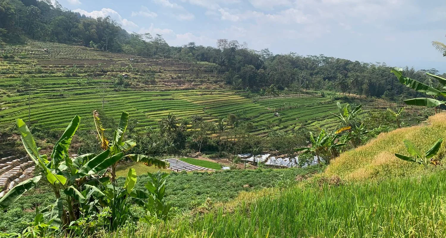 Explore Indonesia Great Trip : Java Bali  Tour With Local Guided for 14 days with Ayla Tour and Transport and discover unforgettable experiences - Photo 2