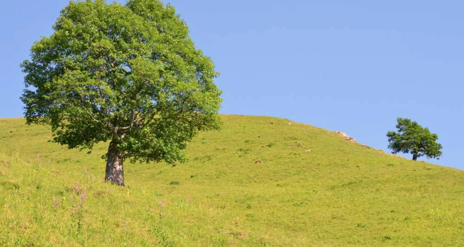 Explore 3 day intensive Azerbaijan private tour for 3 days with Azerbaijan Guide and discover unforgettable experiences - Photo 2