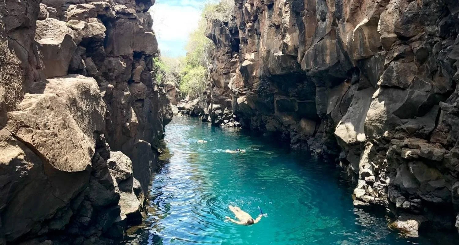 Explore Galápagos Full Experience 4D-3N! for 4 days with BM Tours and discover unforgettable experiences - Photo 2