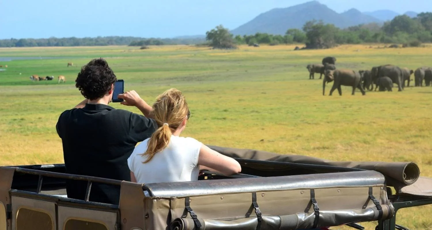 Explore Dream Path Of Sri Lanka for 10 days with BH Lanka Tours  and discover unforgettable experiences - Photo 2