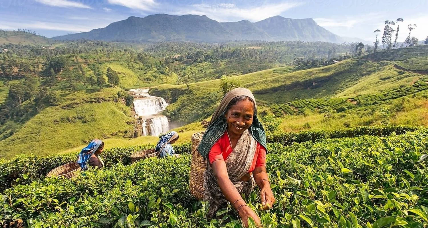 Explore Dream Honeymoon In Sri Lanka for 14 days with BH Lanka Tours  and discover unforgettable experiences - Photo 2