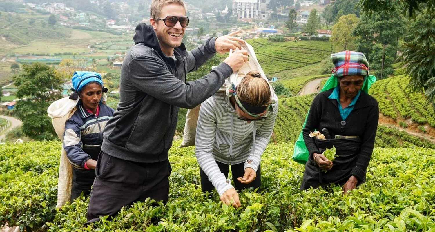 Explore Glamour Of Sri Lanka for 11 days with BH Lanka Tours  and discover unforgettable experiences - Photo 2