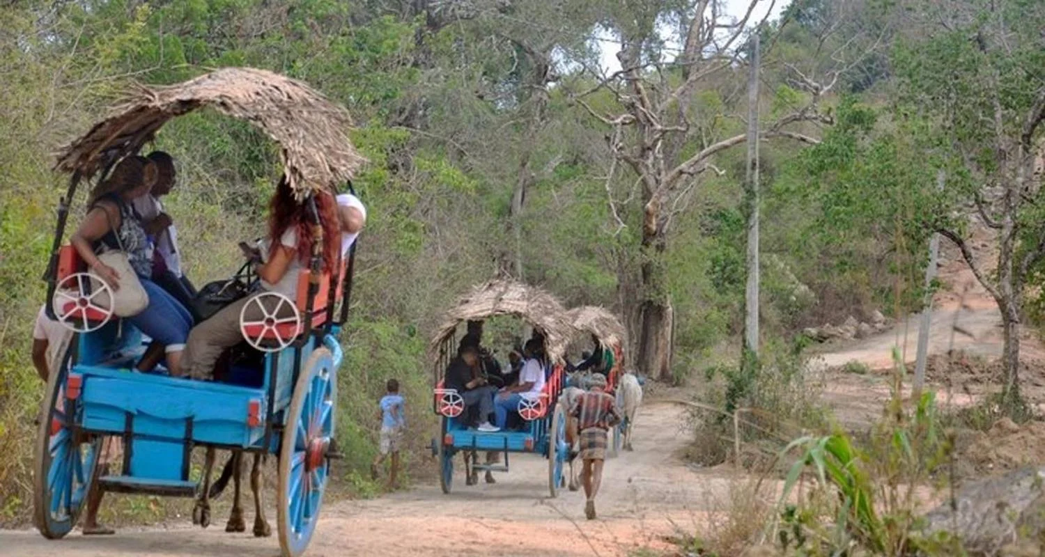 Explore Two Weeks In Sri Lanka for 14 days with BH Lanka Tours  and discover unforgettable experiences - Photo 3