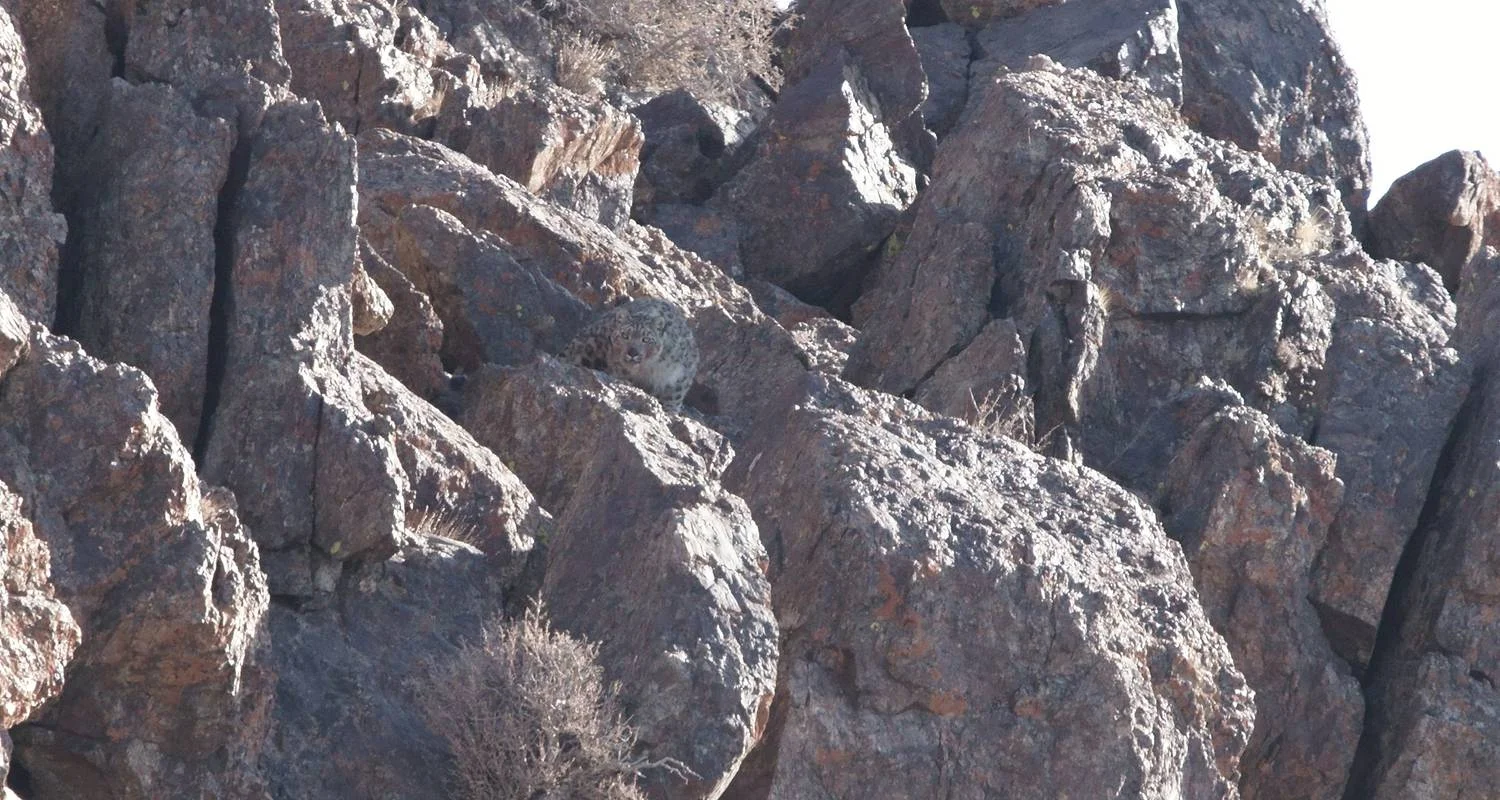 Explore Tracking The Snow Leopard In Gobi” Photo Safari Tour for 11 days with BTTC Travel and discover unforgettable experiences - Photo 2