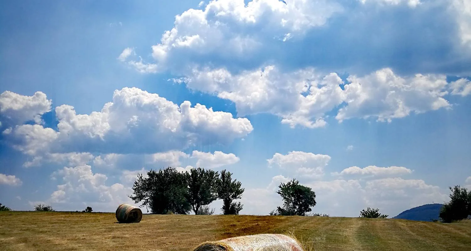 Explore Serbia Top attractions in 7 days for 7 days with Balkan roads and discover unforgettable experiences - Photo 2