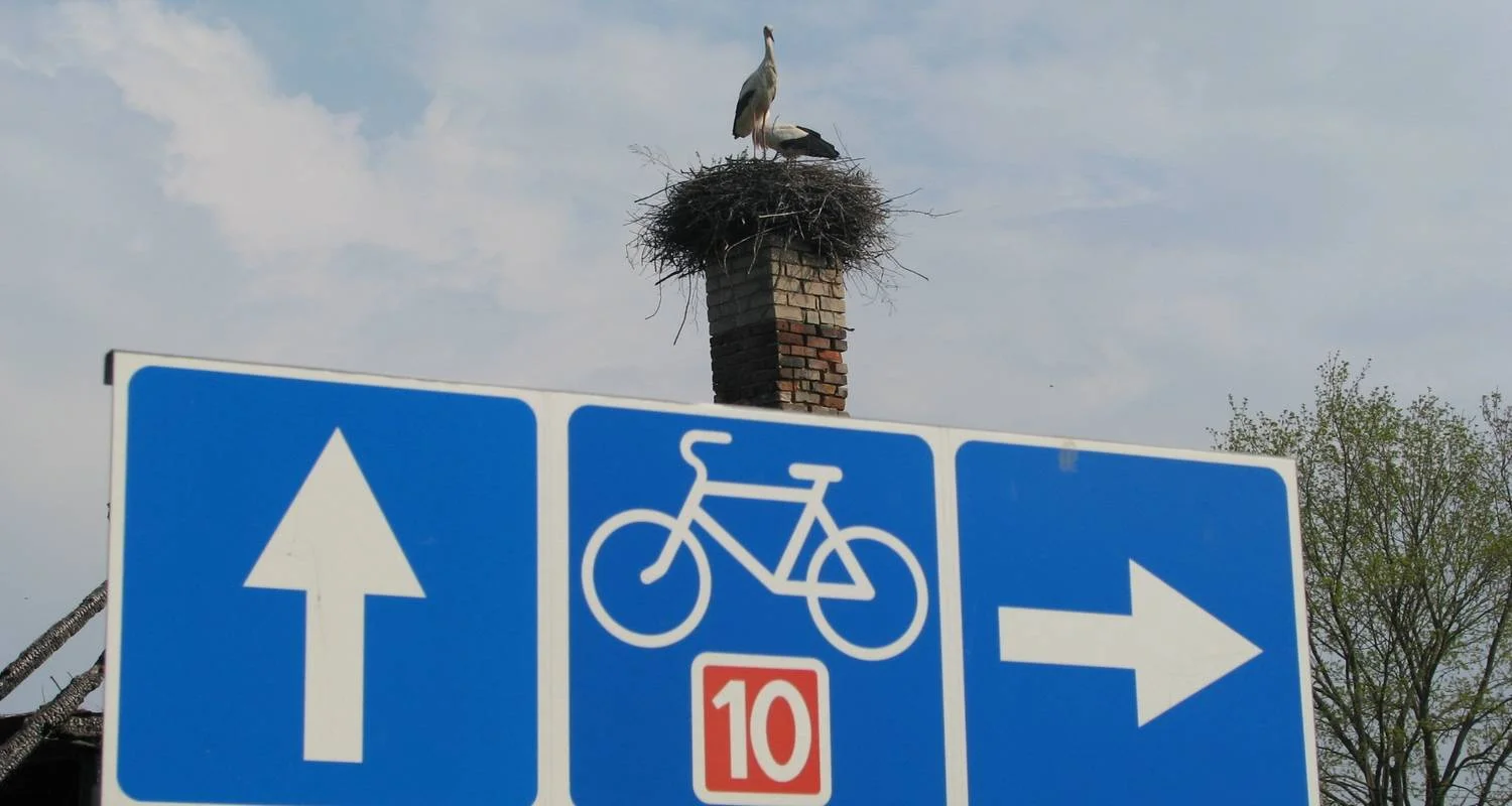 Explore Cycling along the Lithuanian Seaside (from Klaipeda) for 8 days with Baltic Bike Travel UAB and discover unforgettable experiences - Photo 2