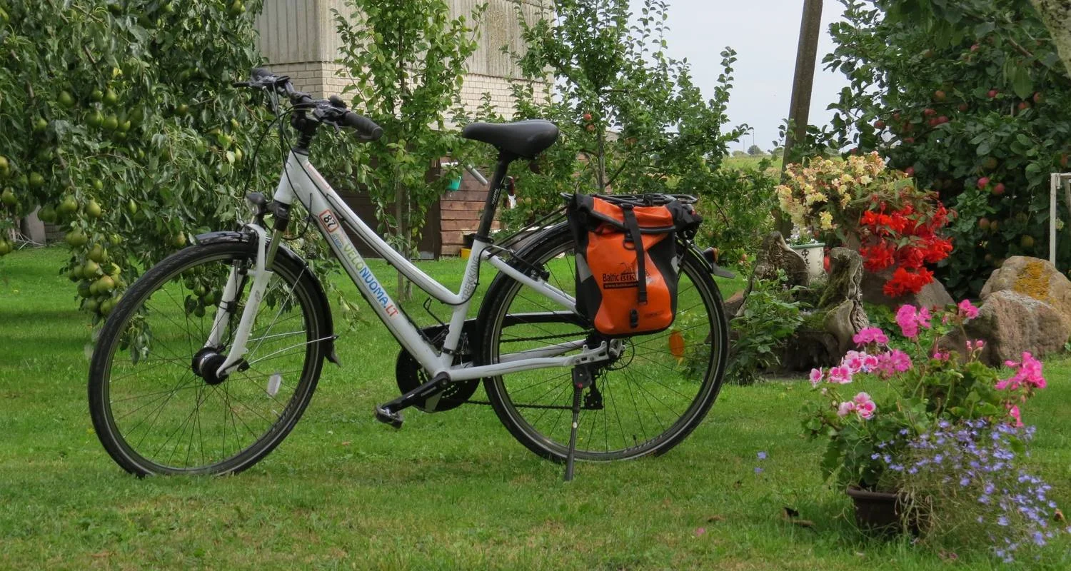 Explore Baltic Bike Tour: Vilnius to Tallinn (self-guided supported) for 11 days with Baltic Bike Travel UAB and discover unforgettable experiences - Photo 2