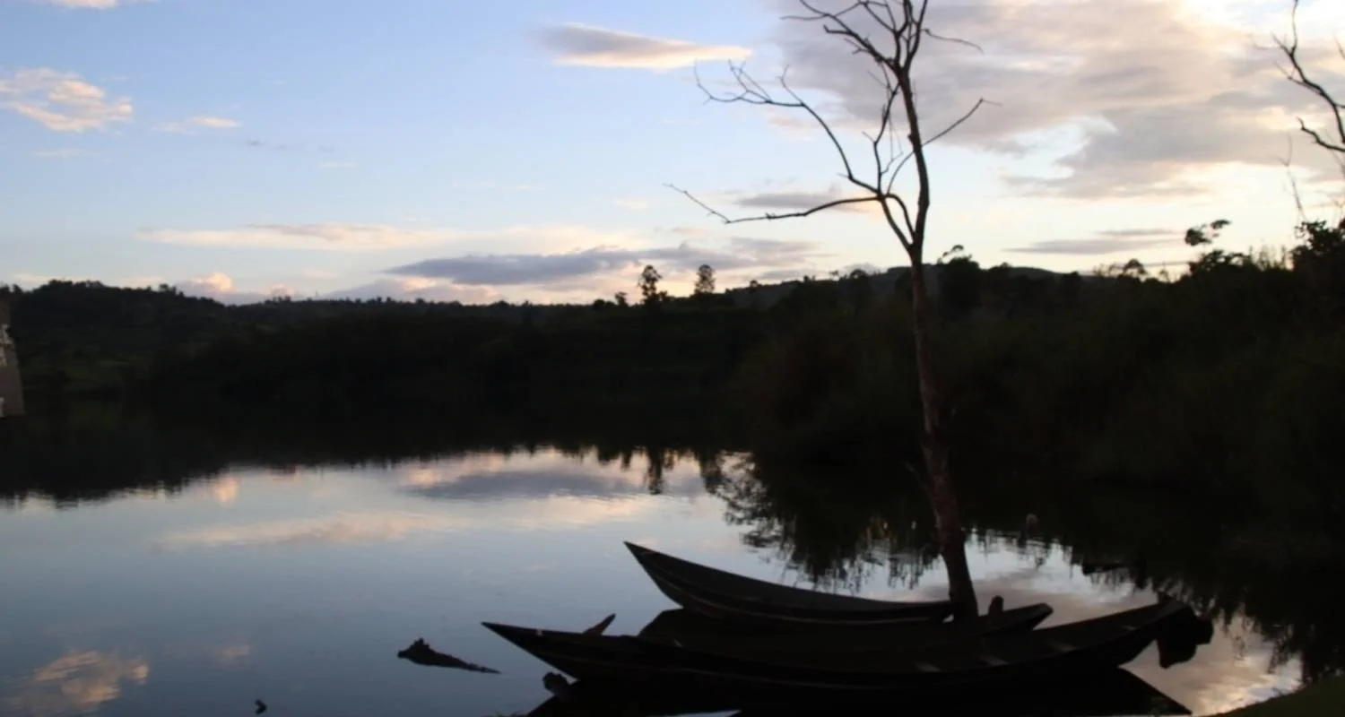 Explore 4 Day Gorillas, Wildlife and Chimp Trek at Kalinzu Forest for 4 days with Bamboo Ecotours and discover unforgettable experiences - Photo 2