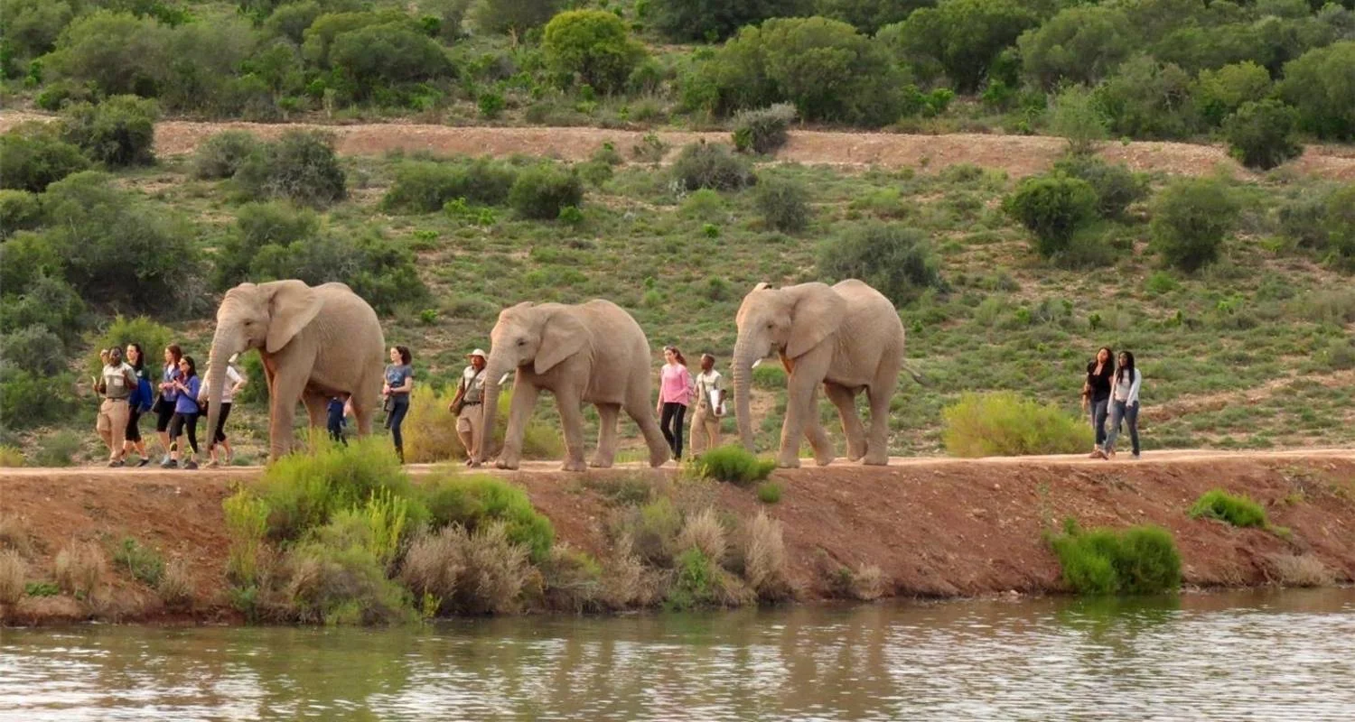 Explore Garden Route & Wine Adventure 7D/6N for 7 days with Bamba Travel and discover unforgettable experiences - Photo 2