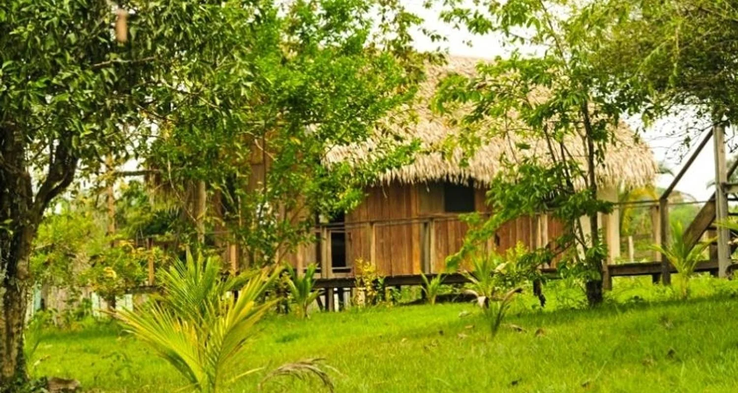 Explore Manaus Amazon Jungle Adventure 5D/4N for 5 days with Bamba Travel and discover unforgettable experiences - Photo 2