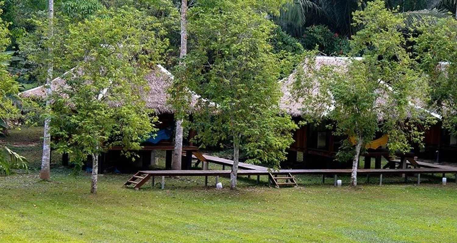 Explore Puerto Maldonado Amazon Eco-Lodge 5D/4N (from Cuzco) for 5 days with Bamba Travel and discover unforgettable experiences - Photo 2