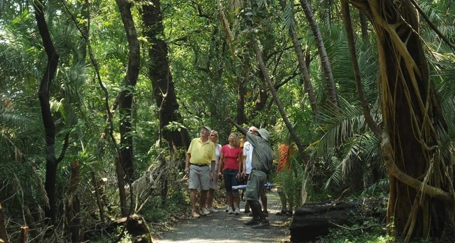 Explore Victoria Falls & Chobe Adventure 4D/3N (from Victoria Falls) for 4 days with Bamba Travel and discover unforgettable experiences - Photo 2