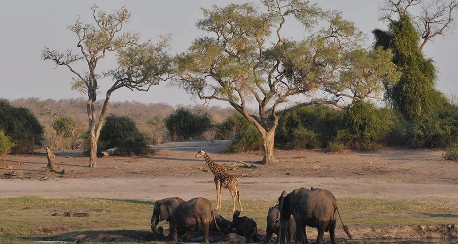 Explore Victoria Falls & Chobe Adventure 4D/3N (from Livingstone) for 4 days with Bamba Travel and discover unforgettable experiences - Photo 2