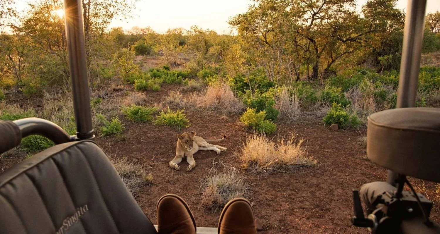 Explore 8 Nights Cape Kruger and Jo'burg for 8 days with Bantu Safaris and discover unforgettable experiences - Photo 2
