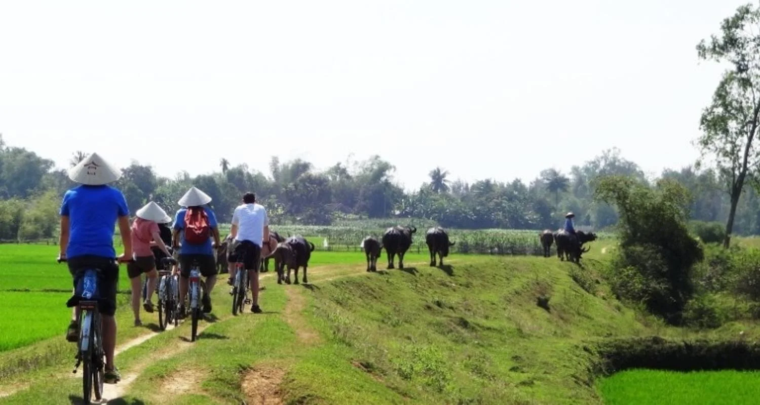 Explore Vietnam Circuit (from Hanoi) Express Travel Pass for 11 days with Bamba Travel and discover unforgettable experiences - Photo 2