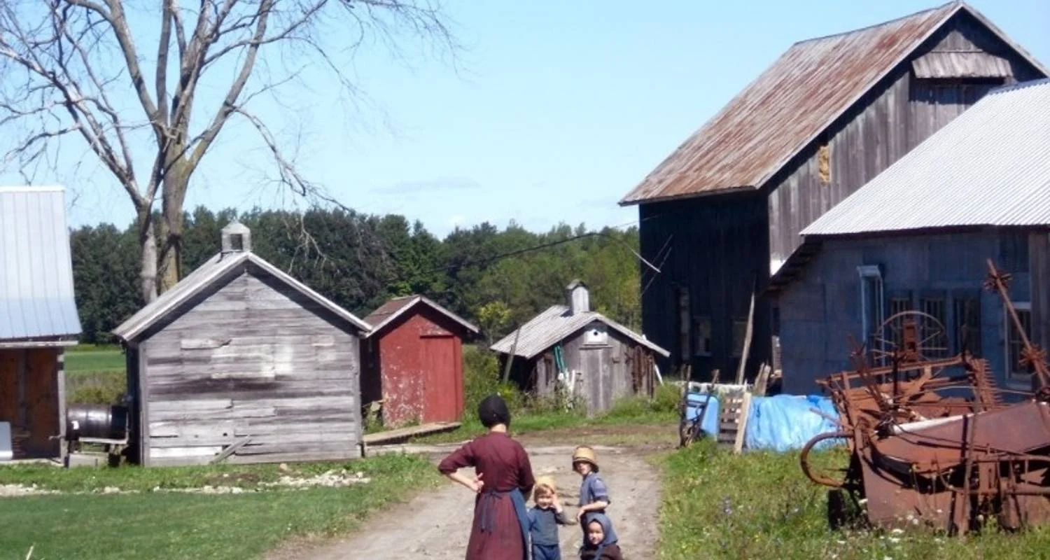 Explore Niagara Falls, Washington DC, Philadelphia & Amish Country 4D/3N (from New York) for 4 days with Bamba Travel and discover unforgettable experiences - Photo 2