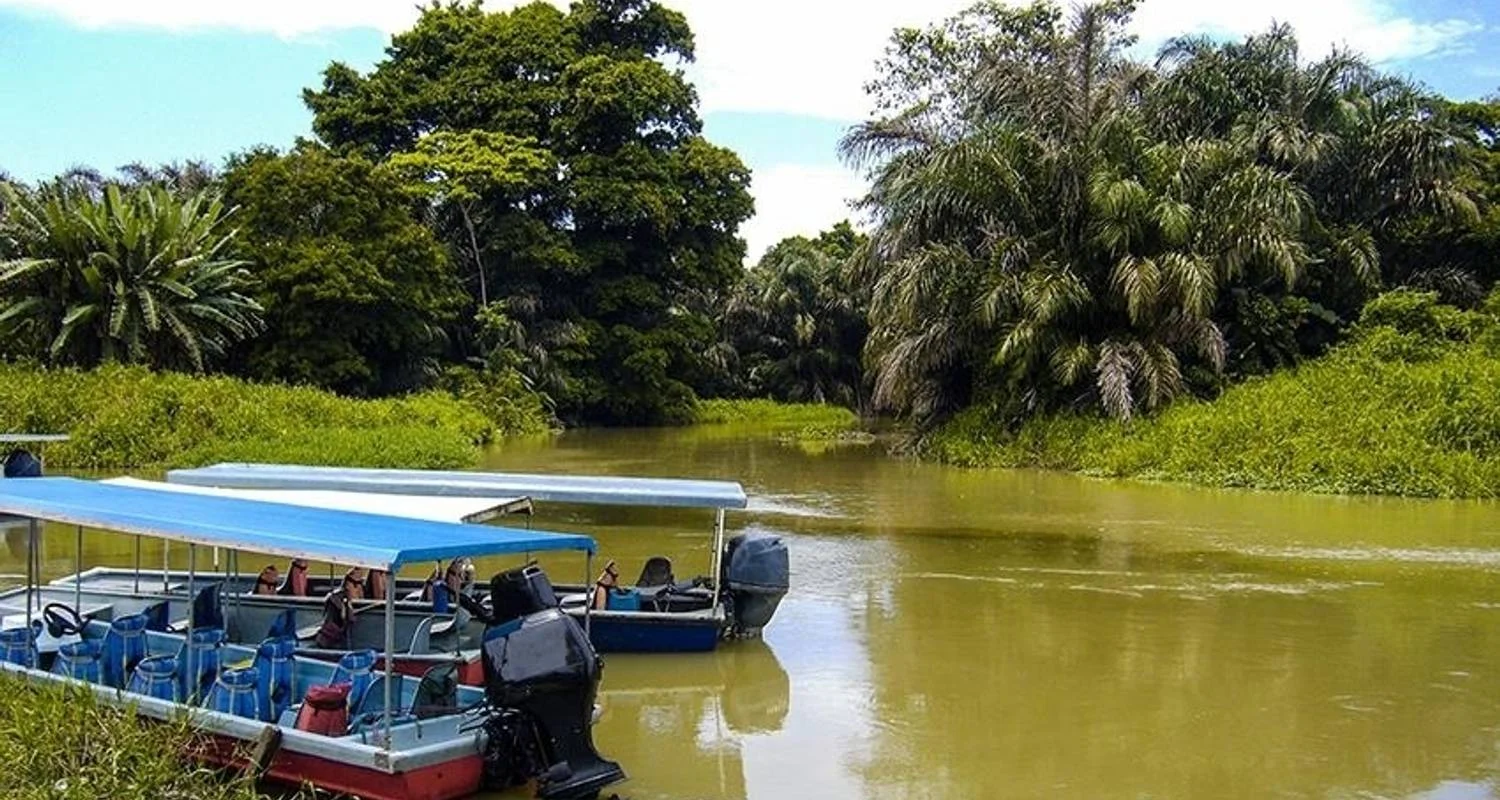 Explore Tortuguero National Park Adventure 4D/3N for 4 days with Bamba Travel and discover unforgettable experiences - Photo 2