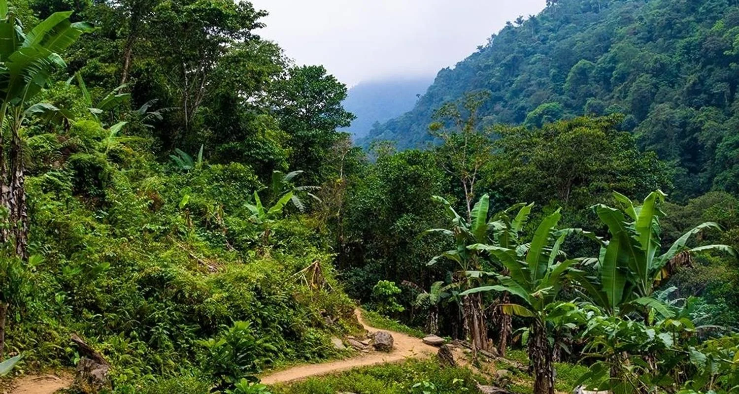 Explore Tayrona Beaches & Lost City Trek 8D/7N for 8 days with Bamba Travel and discover unforgettable experiences - Photo 2