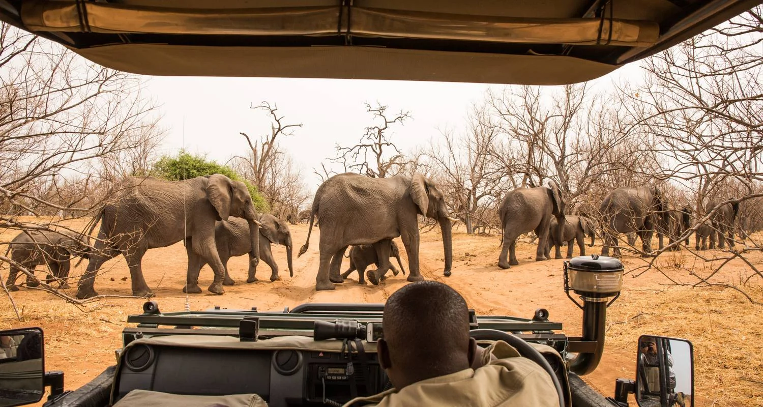 Explore Round Trip Namibia & Botswana & Victoria Falls for 15 days with Bavaria Fernreisen and discover unforgettable experiences - Photo 2