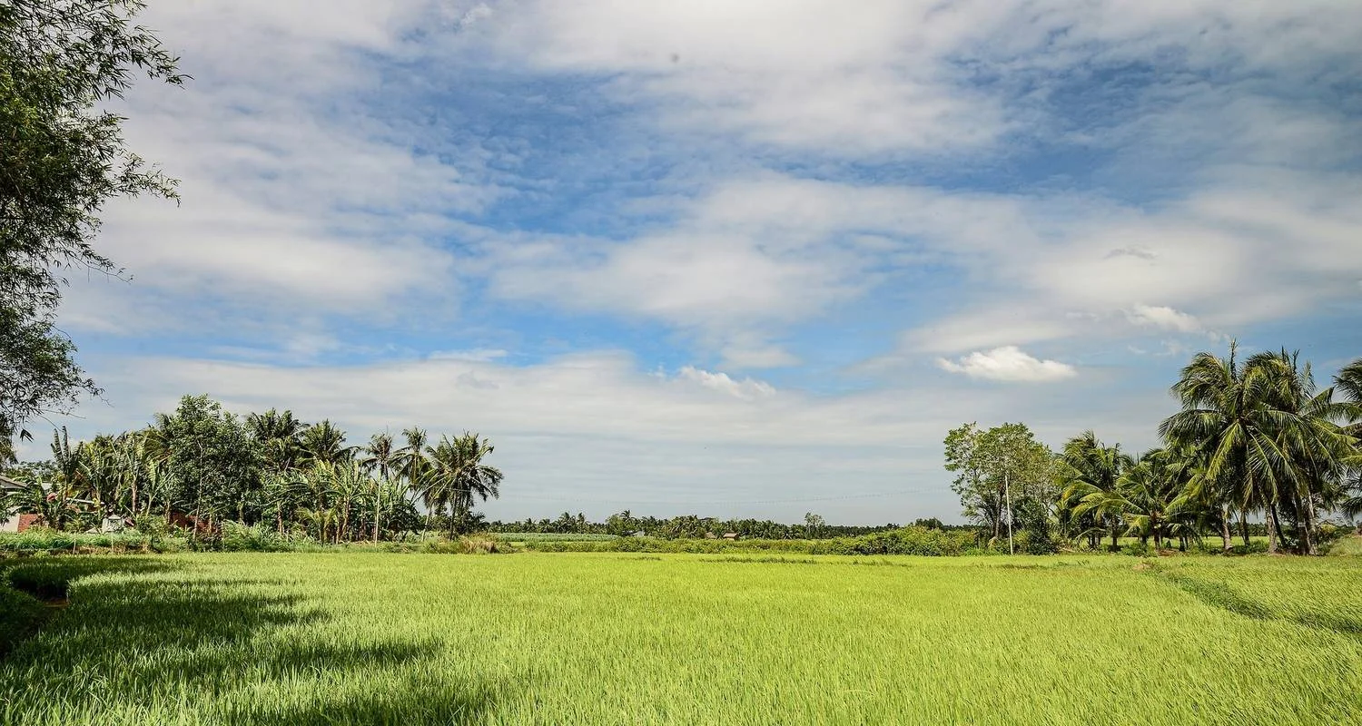 Explore Vietnam tour in a small group (flights included) for 17 days with Bavaria Fernreisen and discover unforgettable experiences - Photo 2