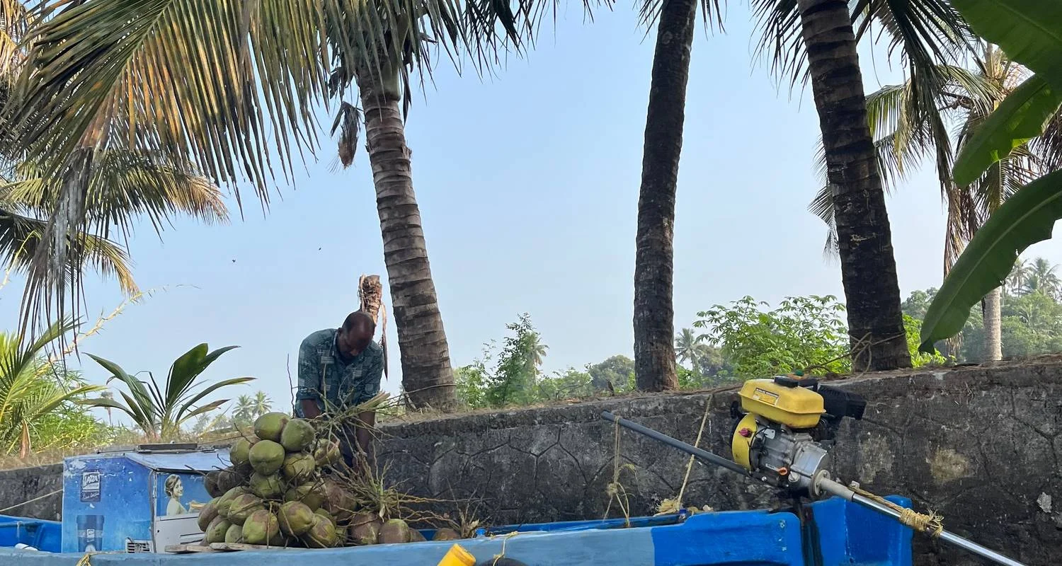 Explore Rajasthan and Kerala Tour for 10 days with BeMetravels  and discover unforgettable experiences - Photo 2