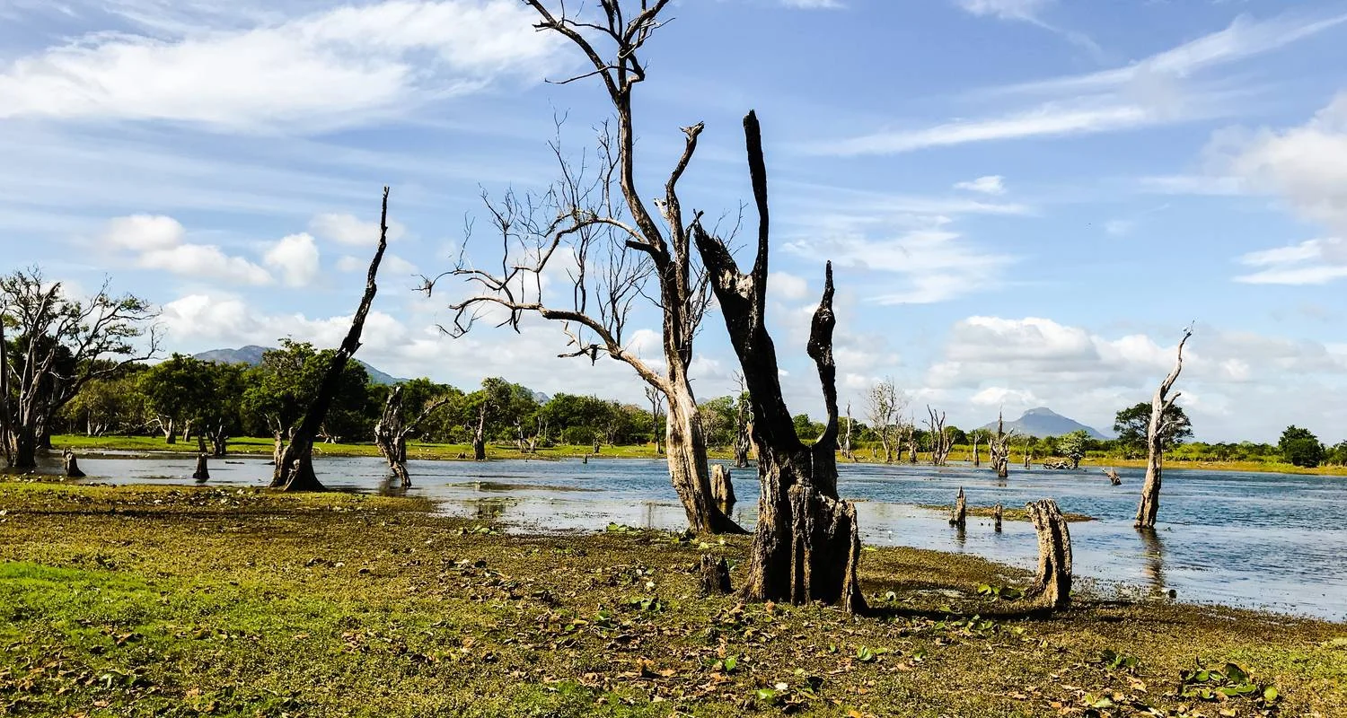 Explore Lift off in Luxury - Sri Lanka Adventour 12 days for 12 days with Beauty Lanka Travels and discover unforgettable experiences - Photo 2