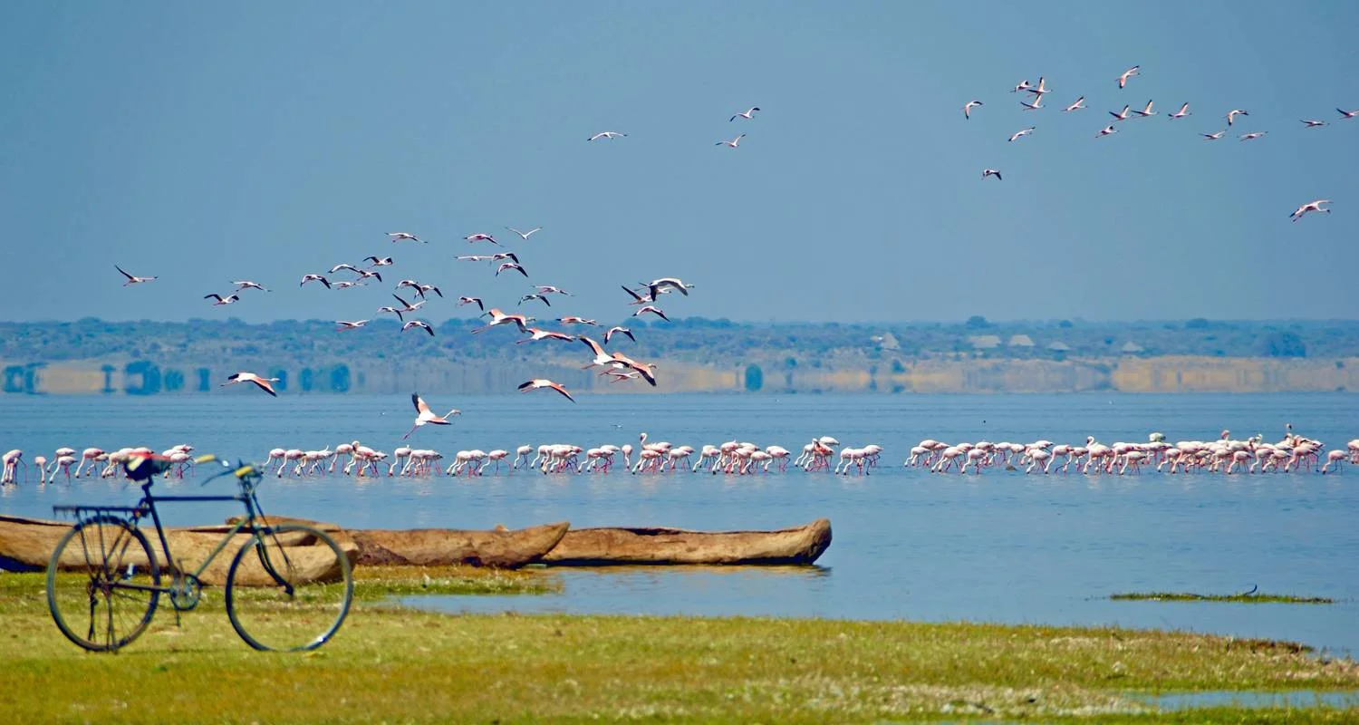 Explore From Arusha 3 Days Tanzanian Flamingo Safari: Tarangire to Magical Lake Natron for 3 days with Beach and Safari Holidays and discover unforgettable experiences - Photo 2