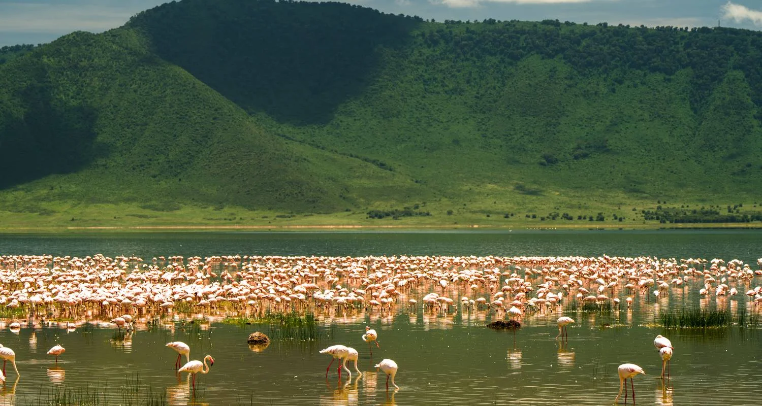 Explore From Arusha : The Ultimate Serengeti 6 Days Safari Experience, Ngorongoro, Tarangire for 6 days with Beach and Safari Holidays and discover unforgettable experiences - Photo 2