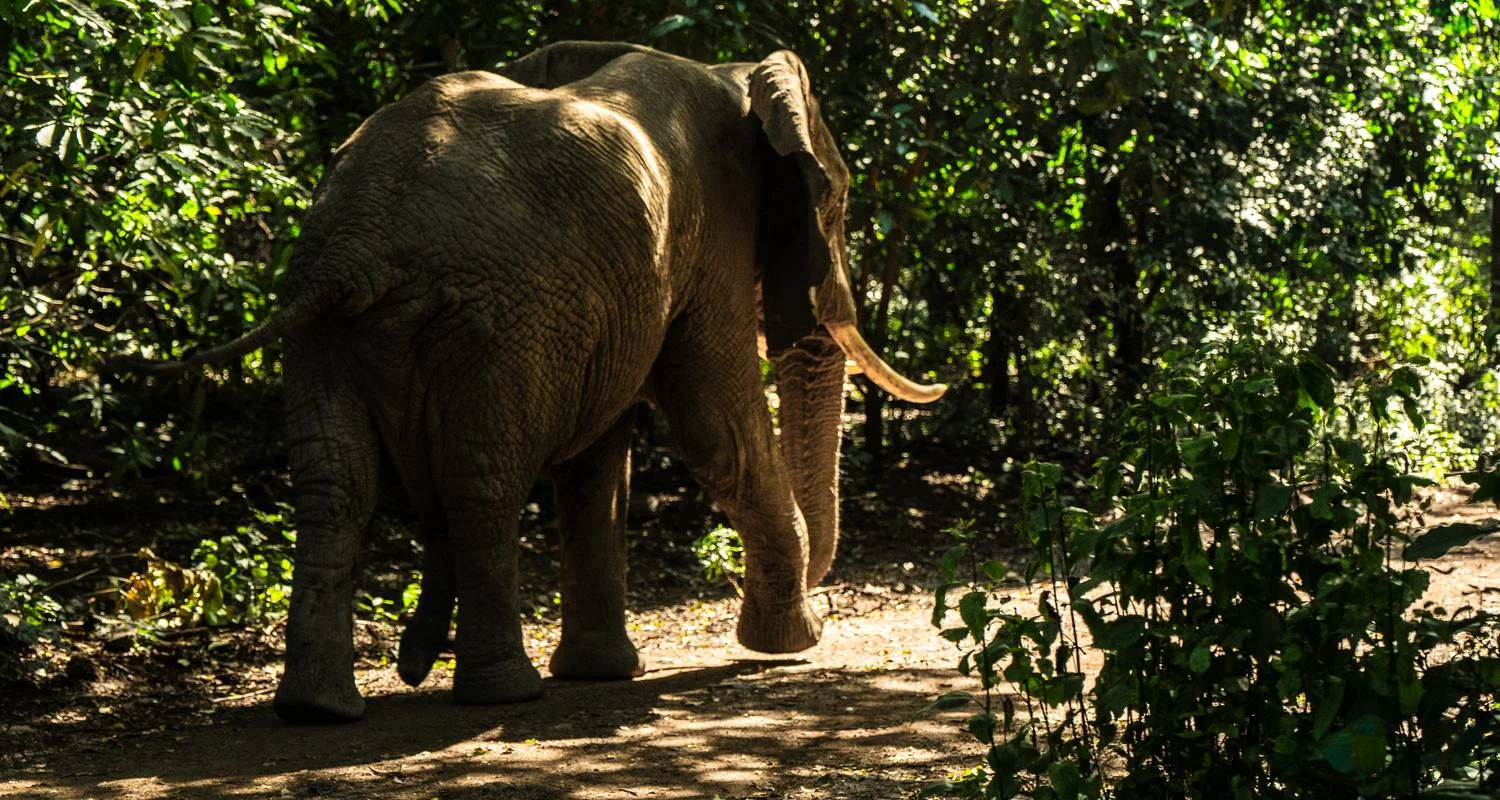 Explore From Arusha: 6 Day Classic Game Drive Serengeti & Ngorongoro Safari for 6 days with Beach and Safari Holidays and discover unforgettable experiences - Photo 2