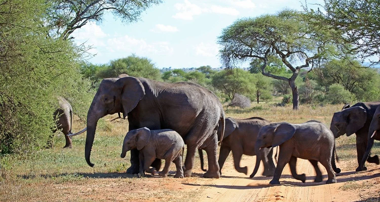 Explore From  Arusha 6 days Beyond Borders Safari: A Tanzanian Adventure Through Landscapes & Wildlife, Lake Natron, Serengeti,Tarangire for 6 days with Beach and Safari Holidays and discover unforgettable experiences - Photo 2