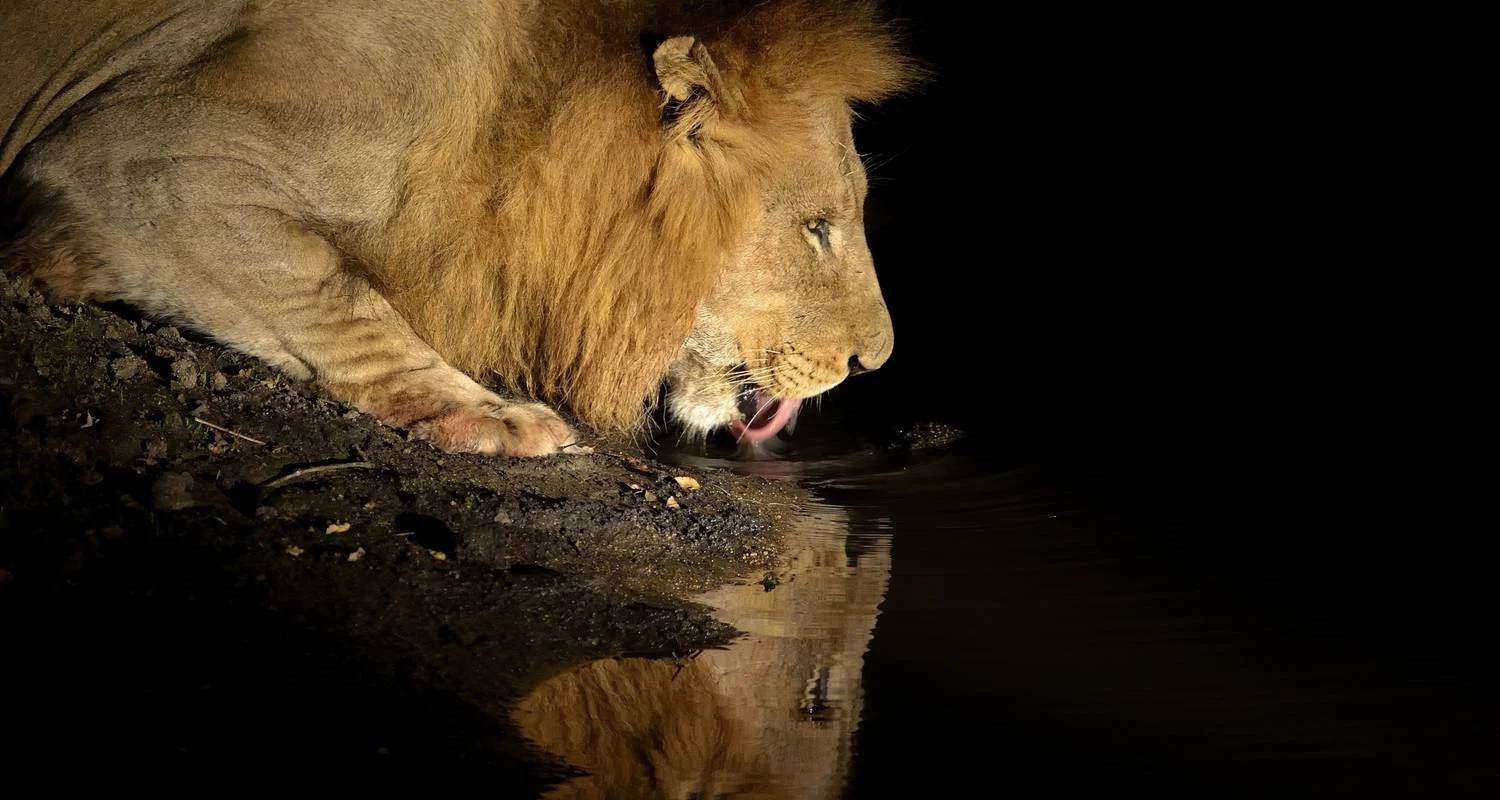 Explore From Zanzibar & Fly-In Drive Round Trip 8 days Serengeti, Lake Natron, Ngorongoro Safari for 8 days with Beach and Safari Holidays and discover unforgettable experiences - Photo 2