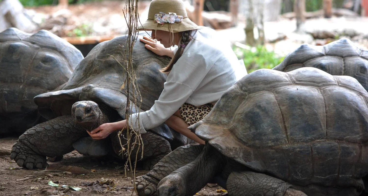 Explore From Zanzibar 8 days : Island Dreams & Selous Safari Adventure for 8 days with Beach and Safari Holidays and discover unforgettable experiences - Photo 2