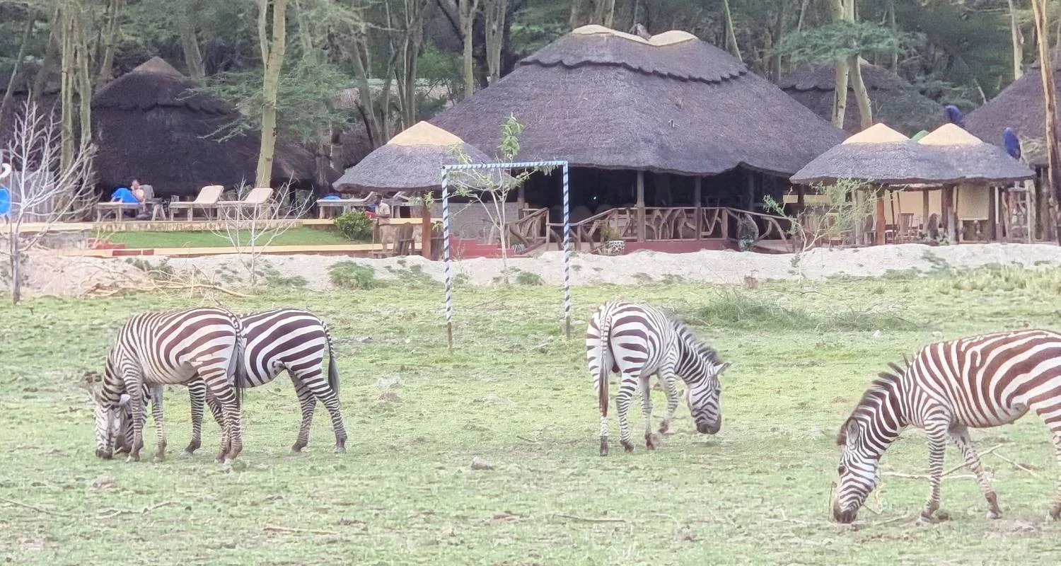 Explore From Kilimanjaro to Zanzibar : 11 days Safari and a Tropical Island ,Tarangire, L.Manyara, Serengeti for 11 days with Beach and Safari Holidays and discover unforgettable experiences - Photo 2