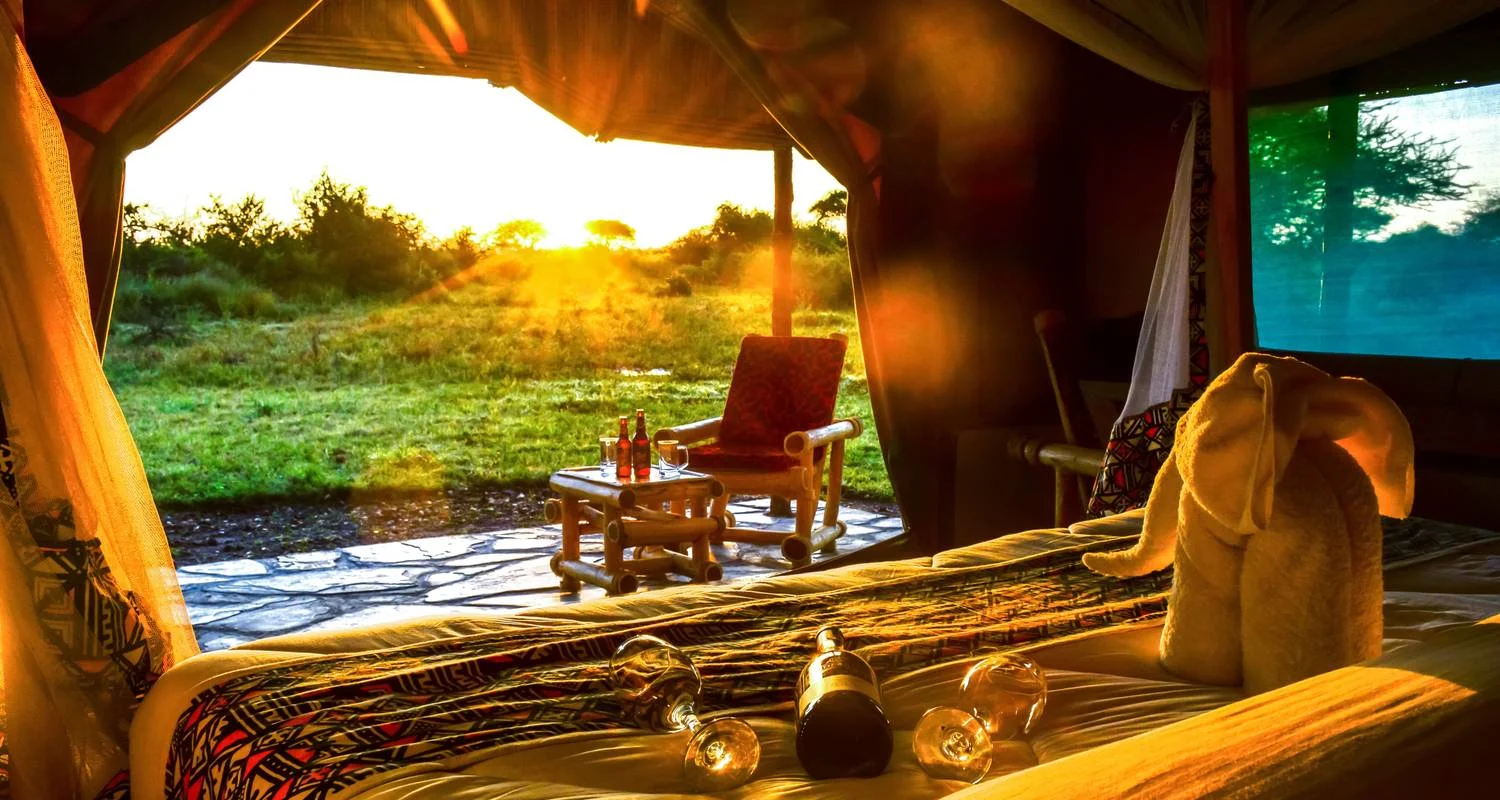 Explore From Zanzibar: 4 Days Serengeti Safari trip experience for 4 days with Beach and Safari Holidays and discover unforgettable experiences - Photo 2