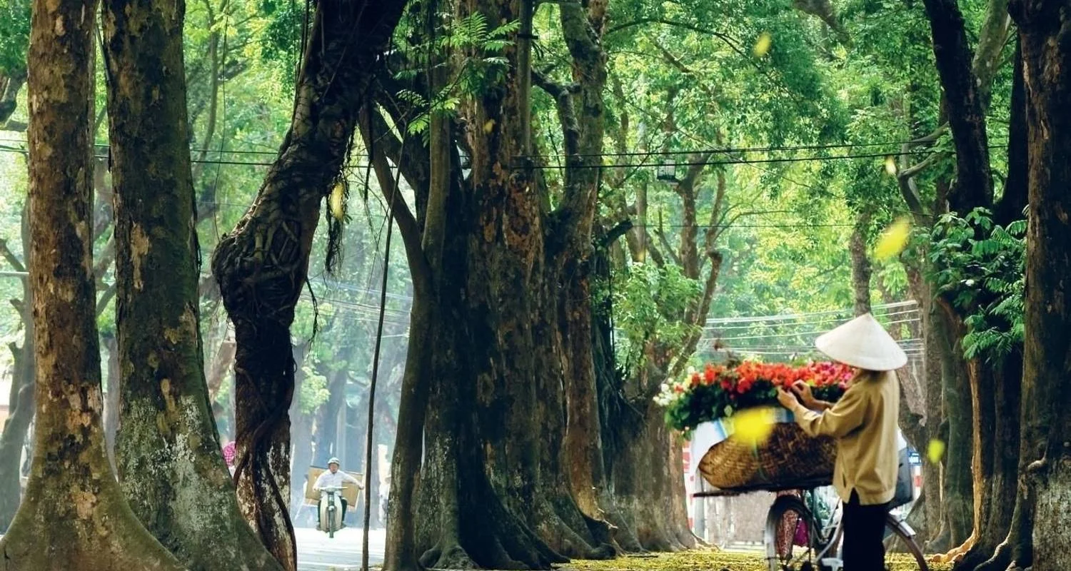 Explore Amazing North to South Vietnam Itinerary 18 Days/17Nights for 18 days with Bee Gng International Joint Stock Company and discover unforgettable experiences - Photo 2