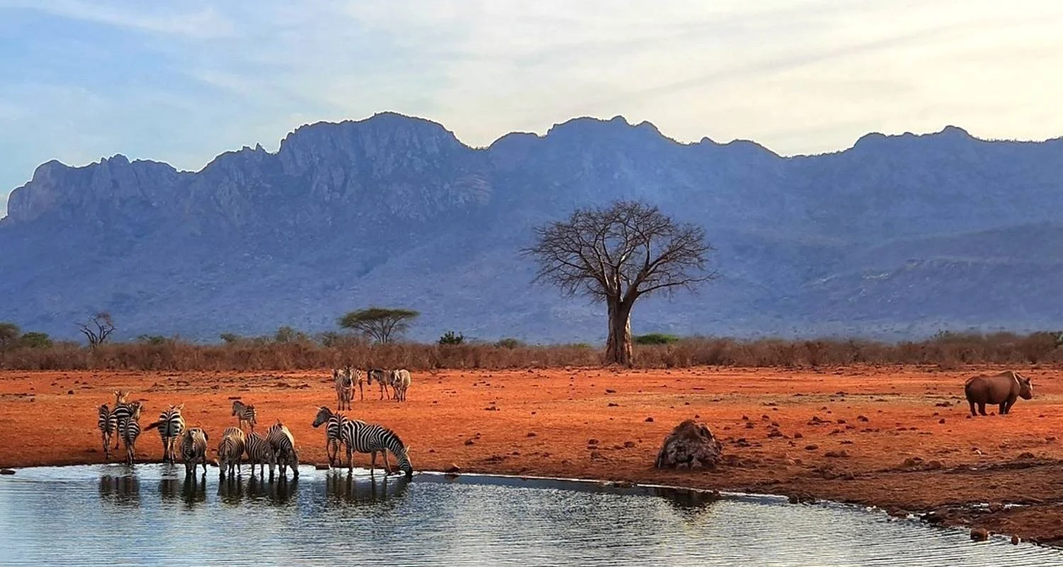 Explore 3 Days Samburu Cultural and Wildlife Safari for 3 days with Bencia Africa Adventure and Safaris and discover unforgettable experiences - Photo 2