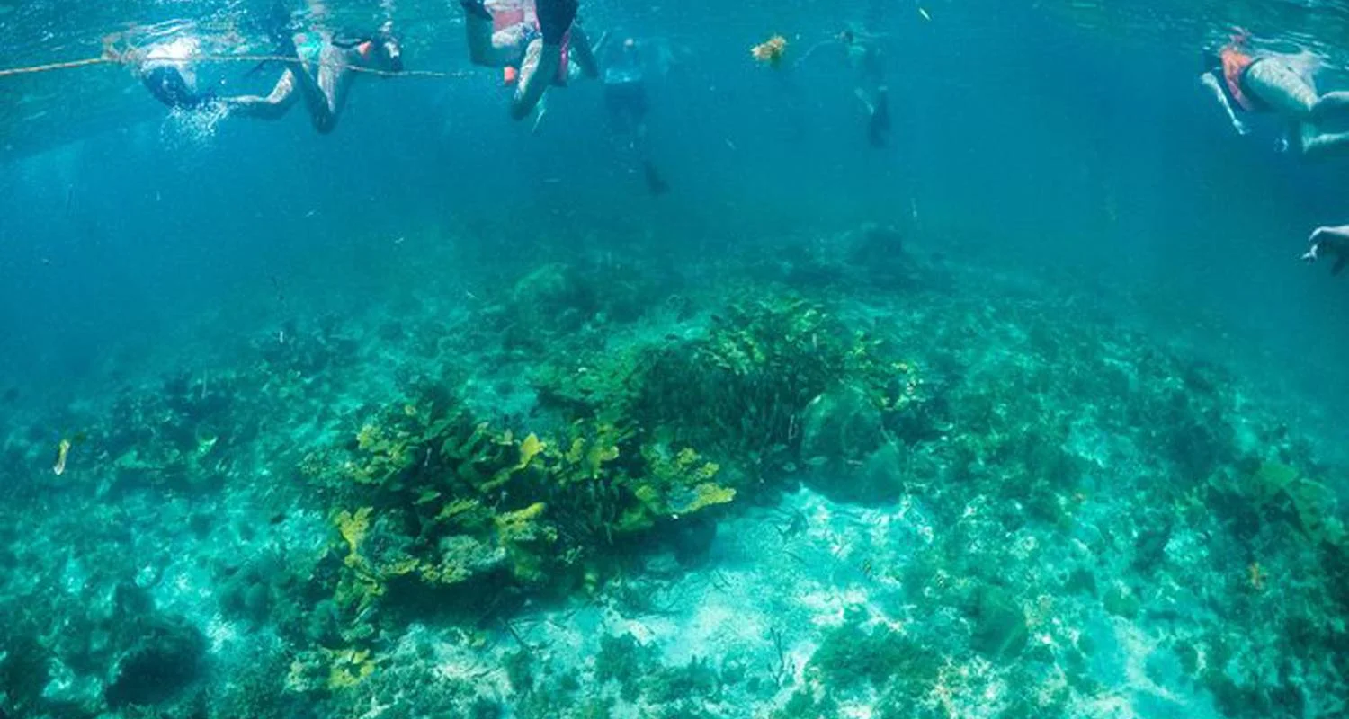 Explore Cancun Fiesta on the Beach All Inclusive Singles Vacation for 5 days with Best Single Travel and discover unforgettable experiences - Photo 2