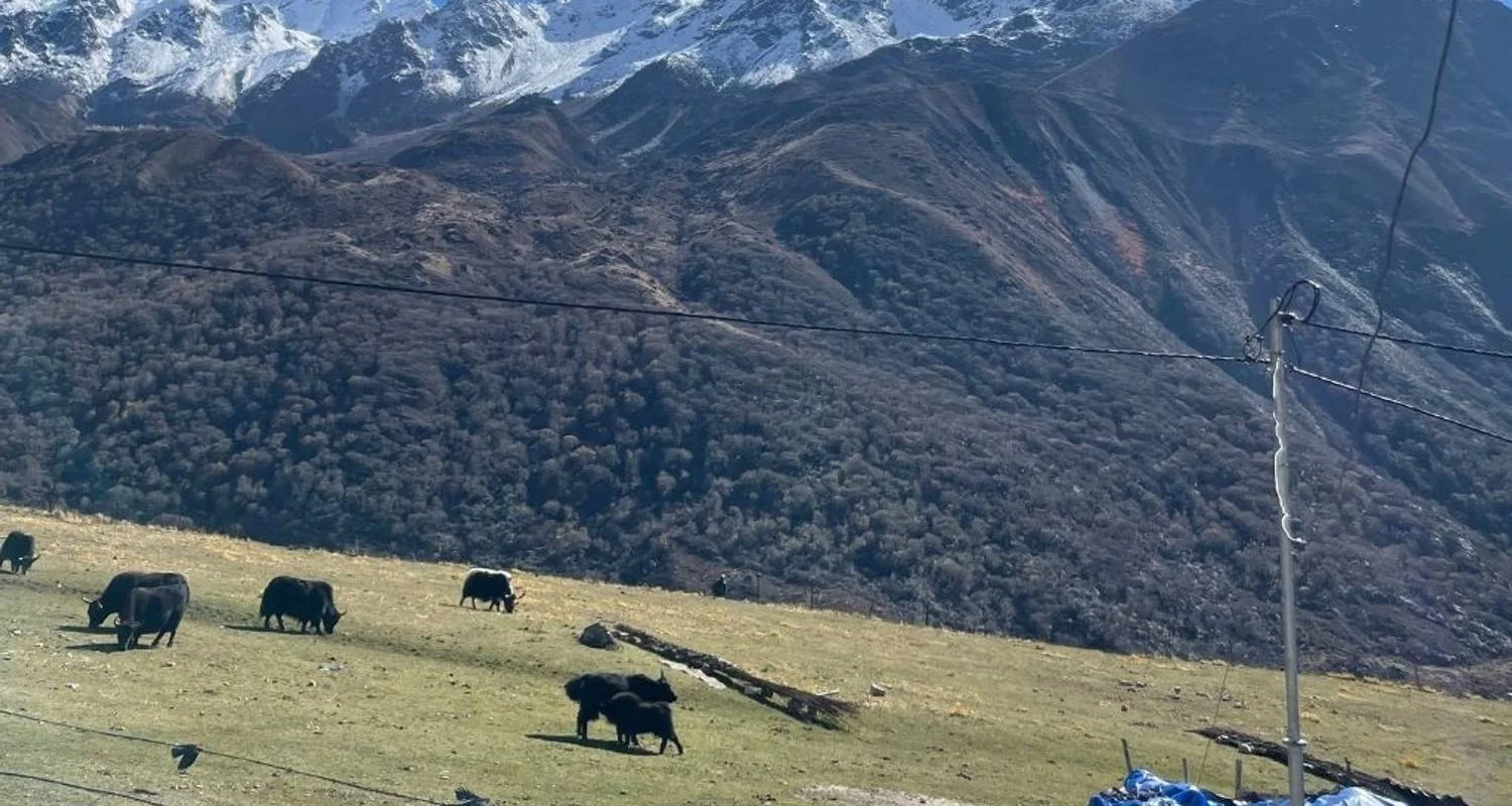 Explore Langtang Valley Trek for 10 days with Beyond The Limits Treks and Expedition and discover unforgettable experiences - Photo 2