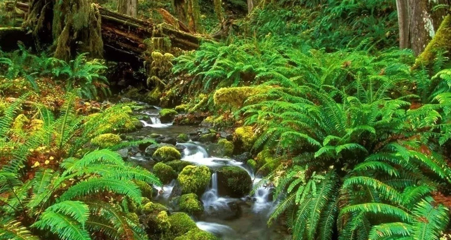 Explore 6-Day Central Highlands UNESCO World heritage adventure tour for 6 days with Beyond Escapes and discover unforgettable experiences - Photo 2
