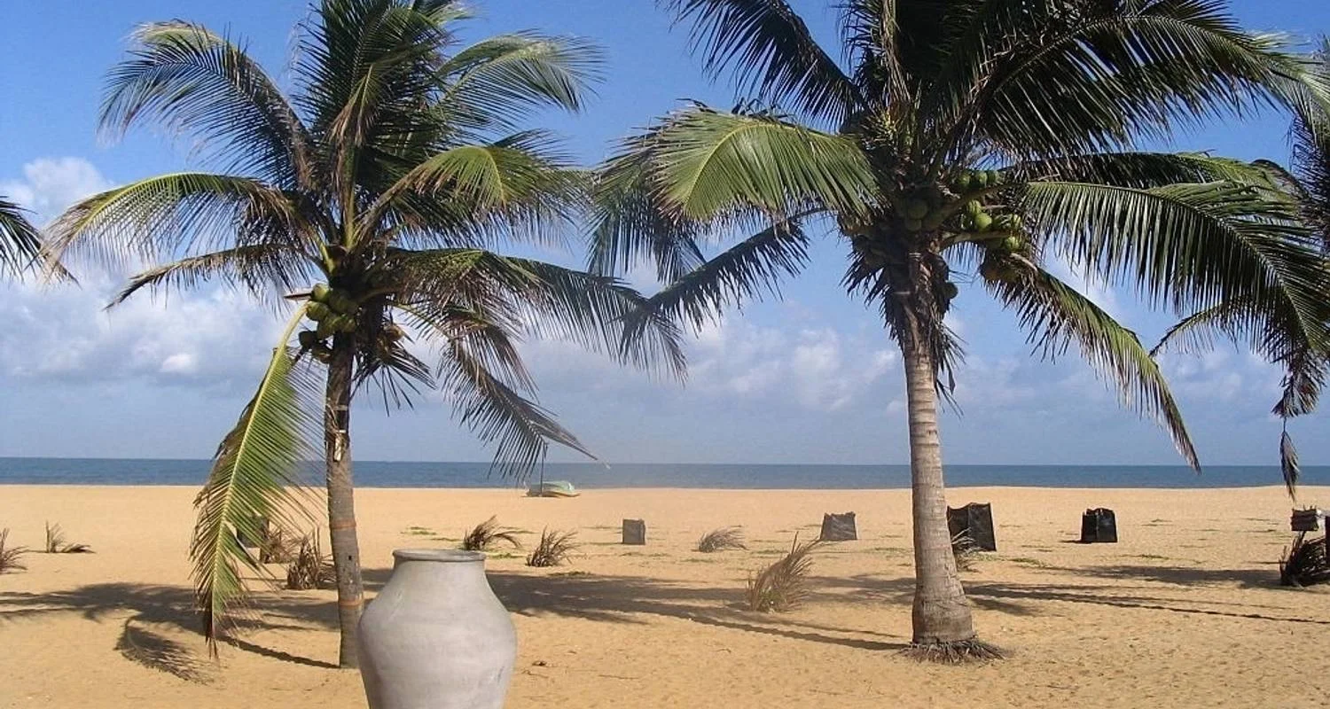 Explore 5-Day Negombo Sightseeing & Beach for 5 days with Beyond Escapes and discover unforgettable experiences - Photo 2